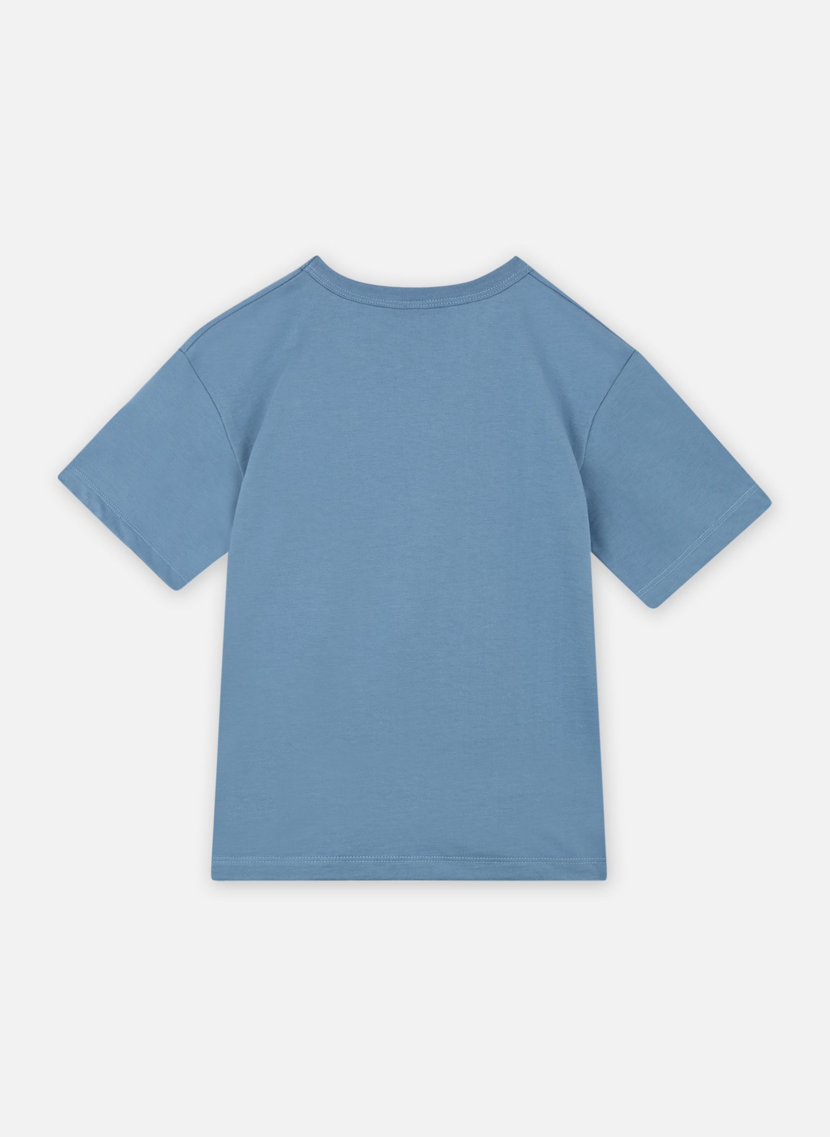 Tee-shirts manches courtes Tee Shirt MC Bolin garçon bleu Petit Bateau Tee-shirts manches courtes Tee Shirt MC Bolin garçon bleu Alaska