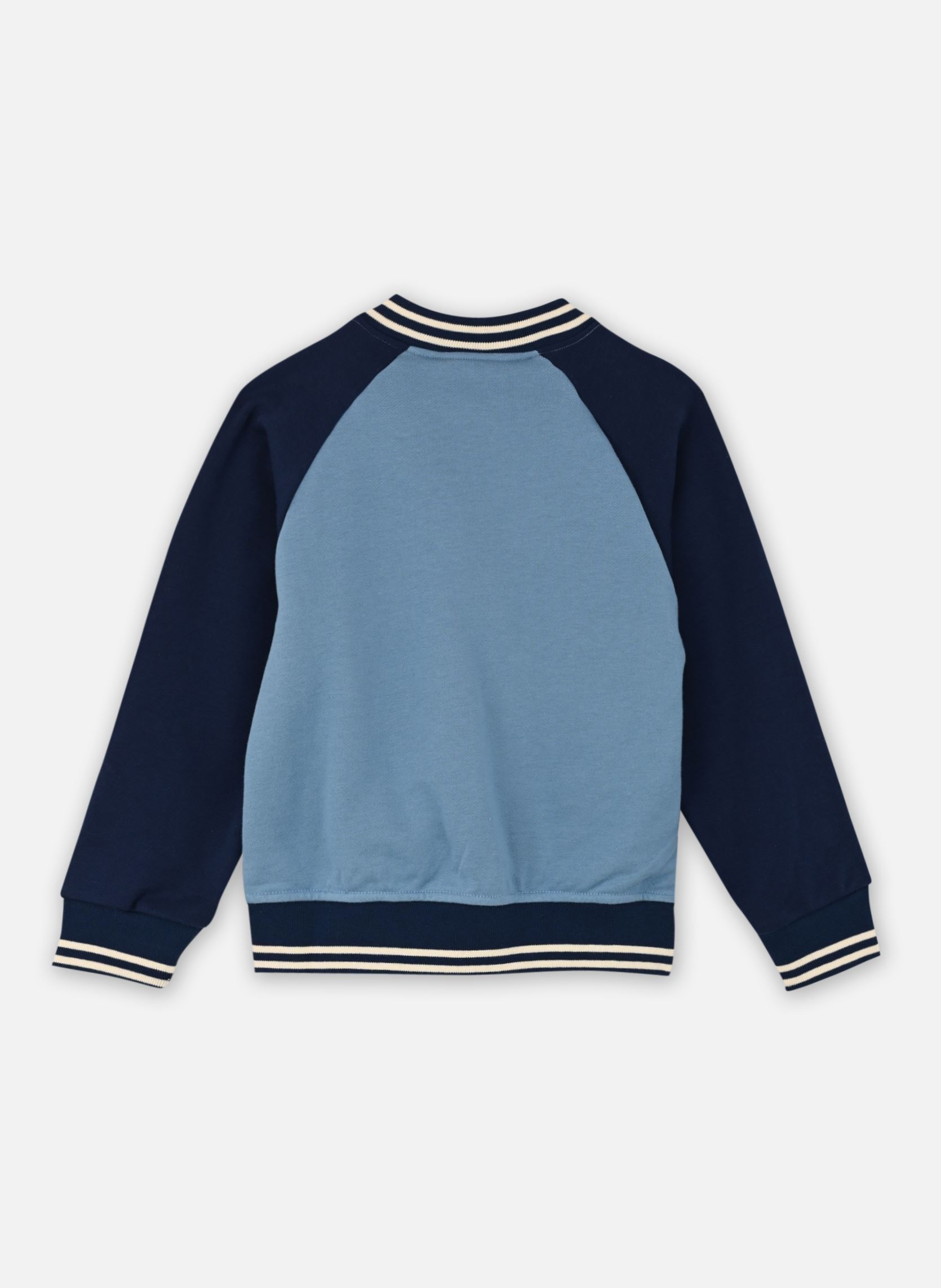 Blousons Teddy Bref garçon bleu Petit Bateau Blousons Teddy Bref garçon bleu Alaska/Medieval