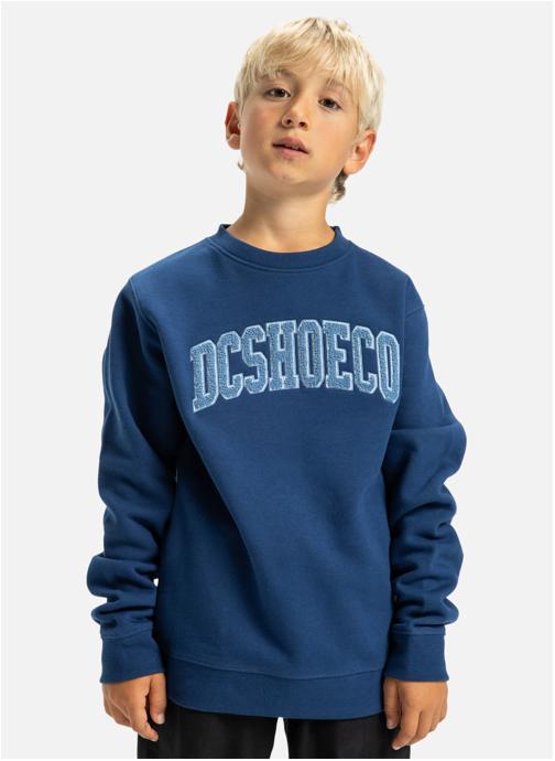 DC Shoes Sweats à capuche Varsity garçon bleu