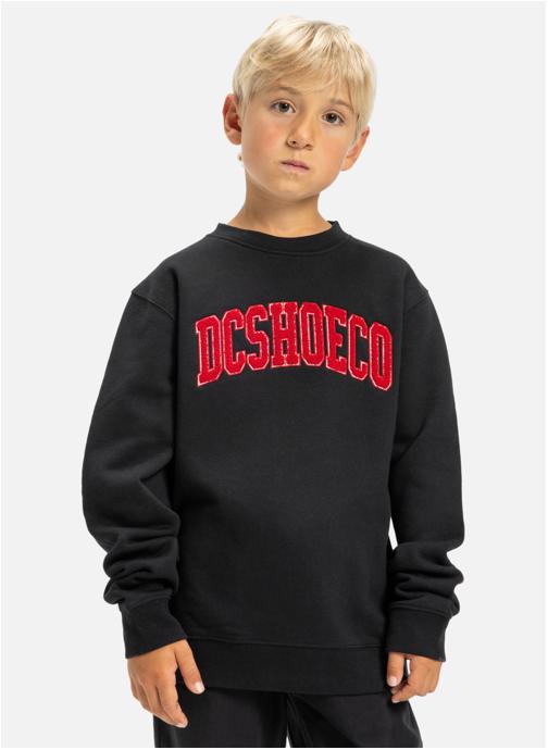 DC Shoes Sweats à capuche Varsity garçon noir