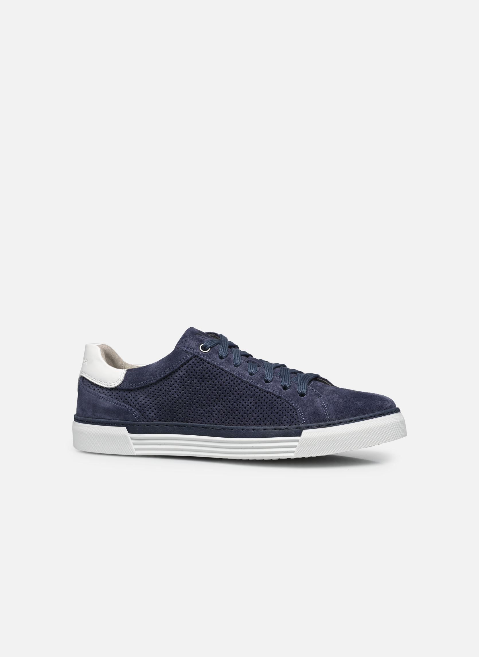 Baskets Milo homme bleu Pius Gabor Baskets Milo homme bleu FJORD/WHITE