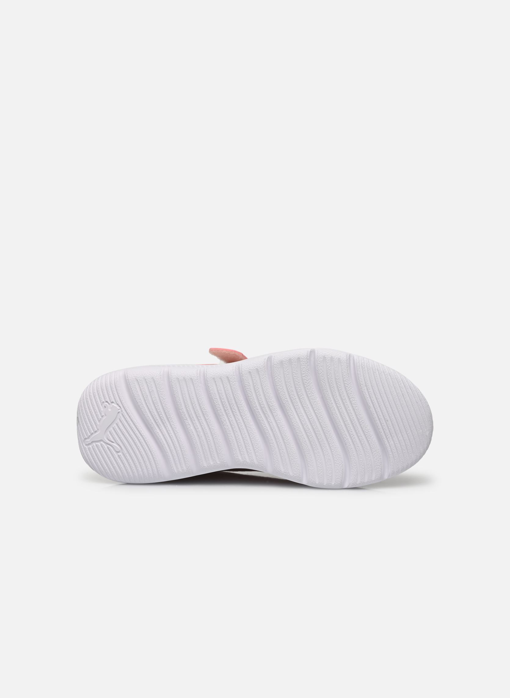 Sneaker Puma Fun Racer 2 Ac+ Ps mädchen rosa Puma Sneaker Puma Fun Racer 2 Ac+ Ps mädchen rosa ROSE QUARTZ-PORT-ISLAND PINK