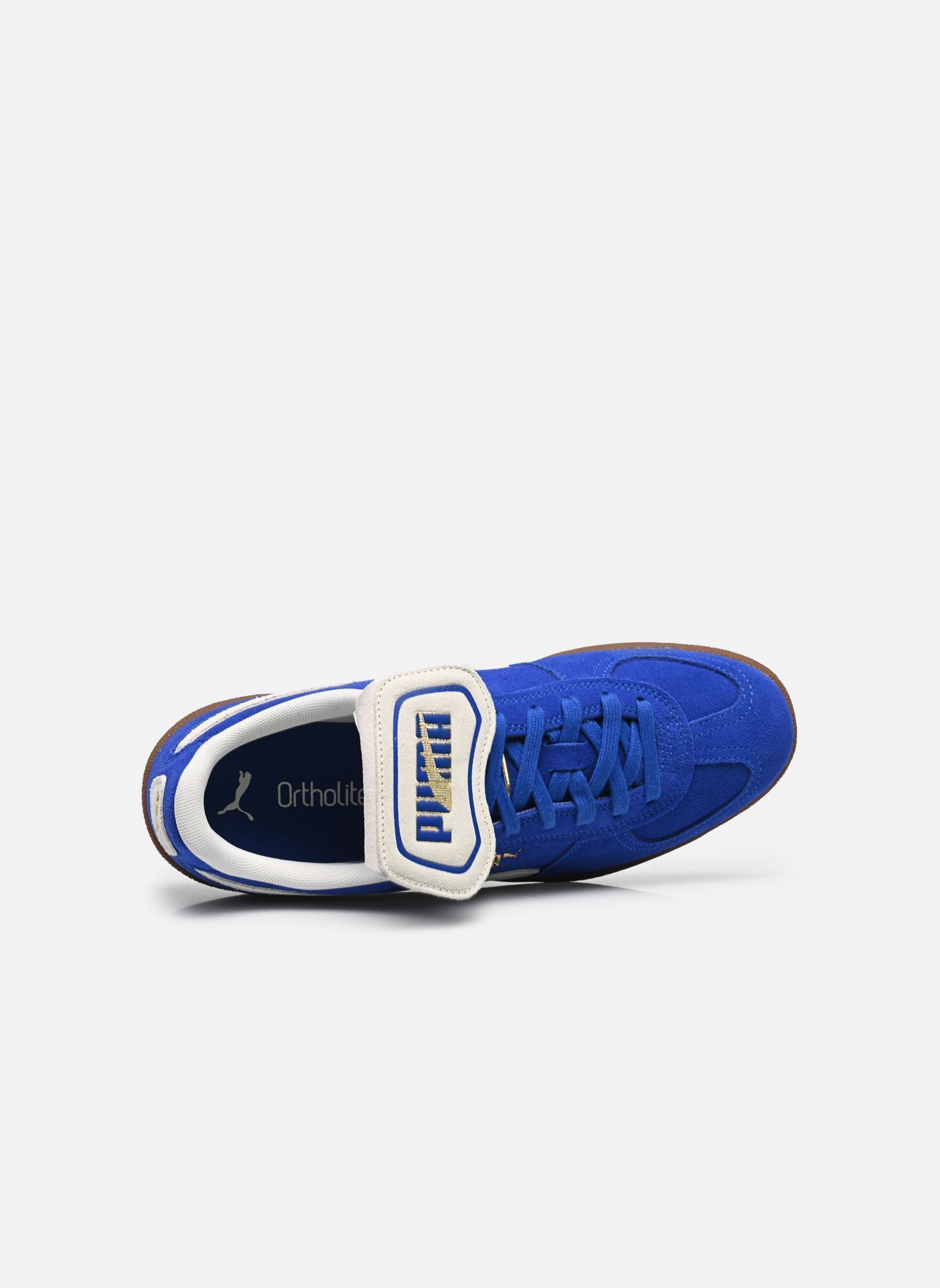 Baskets Palermo Premium Suede M homme bleu Puma Baskets Palermo Premium Suede M homme bleu VIVID BLUE-WARM WHITE
