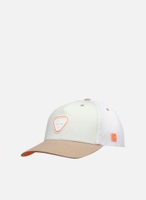 Petten Billys 2 Tones Casquette wit