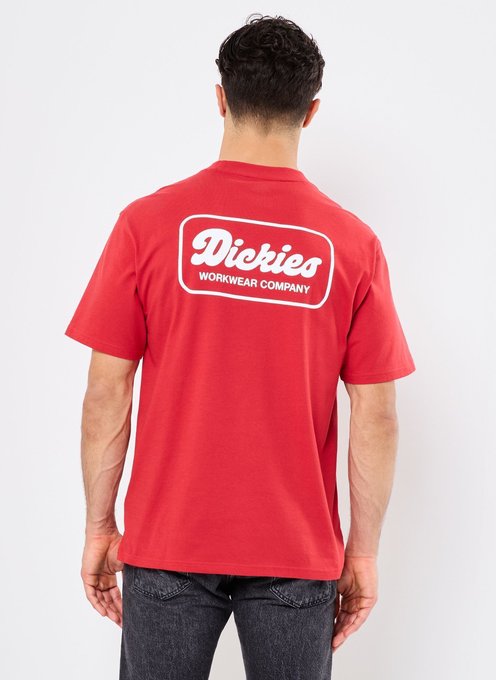 Vêtements Dickies LEWISTOWN SS TEE pour Accessoires