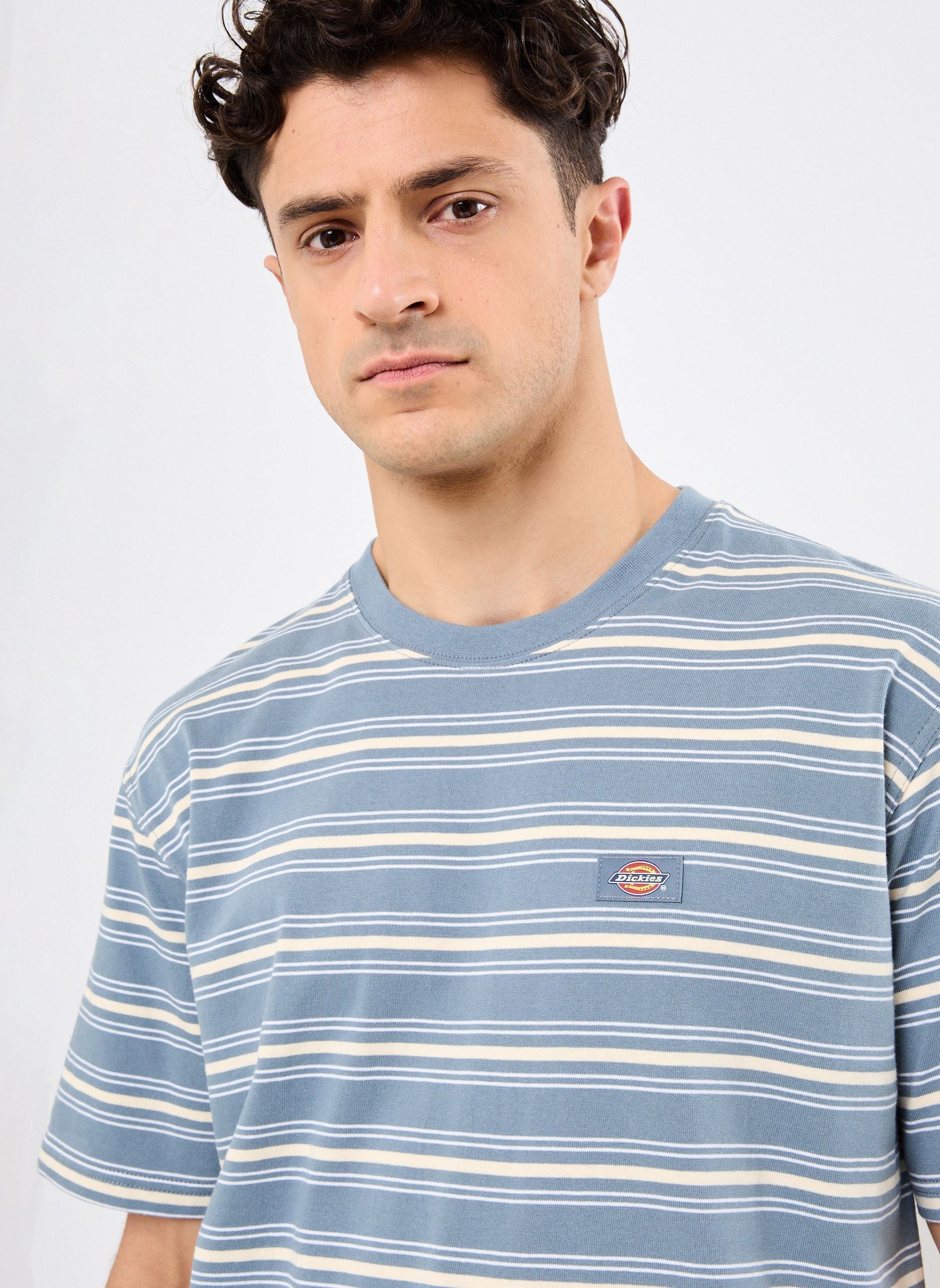 Tee-shirts manches courtes LEWISTOWN STRIPE SS TEE homme bleu Dickies Tee-shirts manches courtes LEWISTOWN STRIPE SS TEE homme bleu STORMY WEATHER