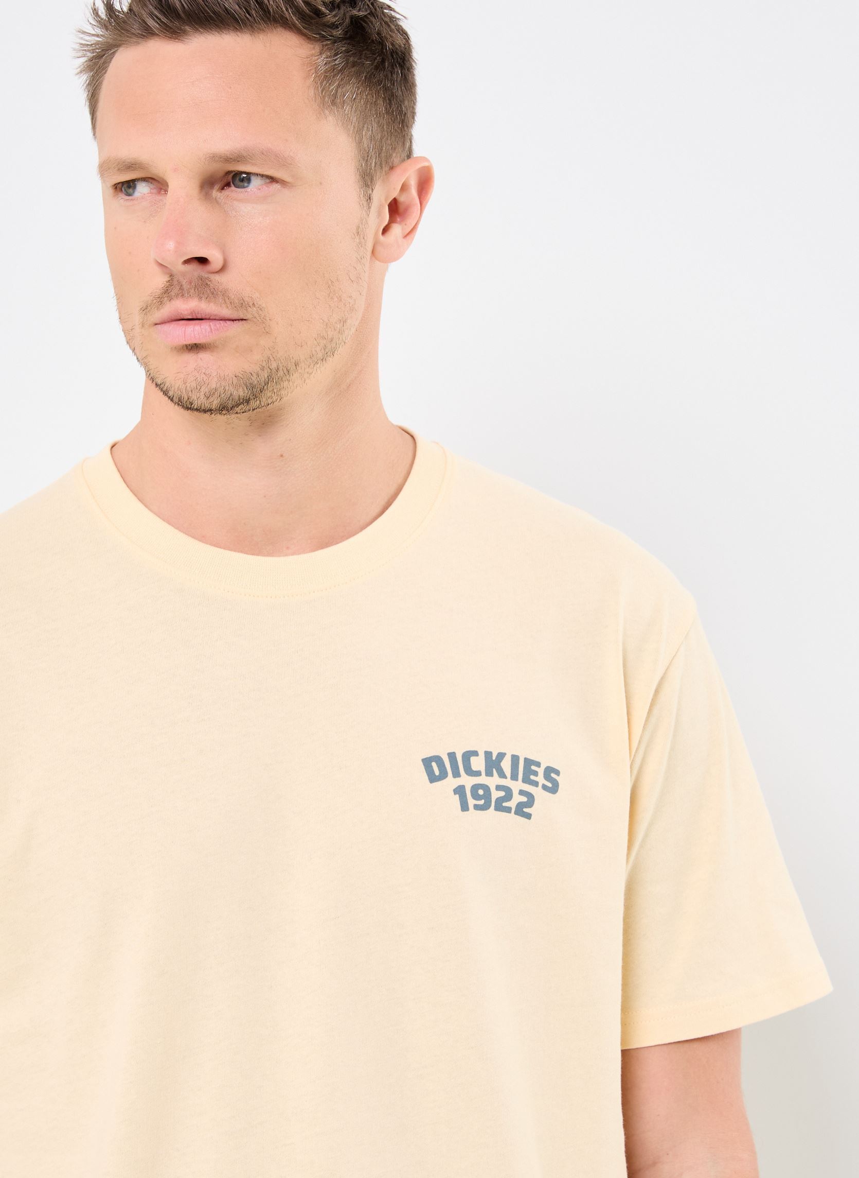 Tee-shirts manches courtes MECHANIC SS TEE homme blanc Dickies Tee-shirts manches courtes MECHANIC SS TEE homme blanc CORN HUSK