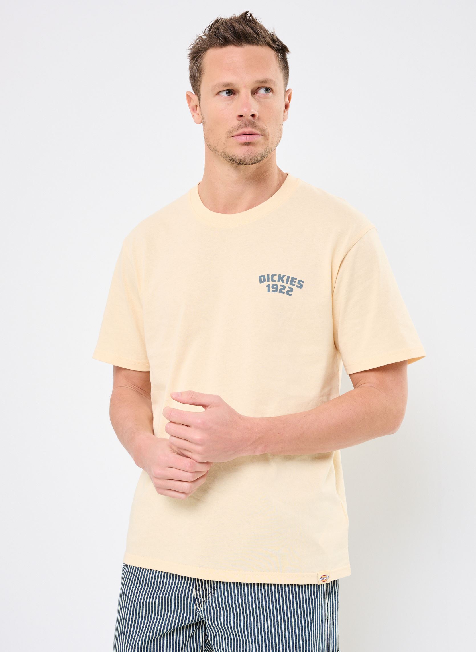 Vêtements Dickies MECHANIC SS TEE pour Accessoires