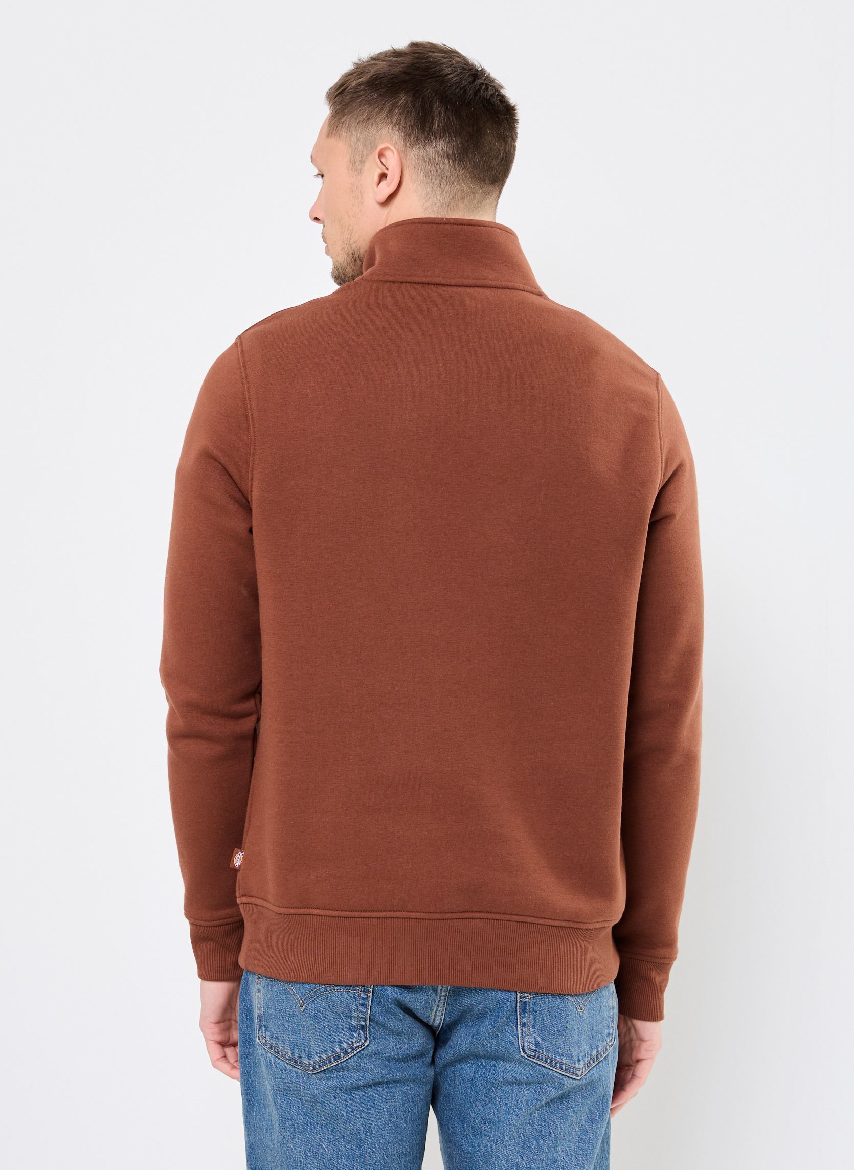 Sudaderas con cremallera OAKPORT QUARTER ZIP hombre marrón Dickies Sudaderas con cremallera OAKPORT QUARTER ZIP hombre marrón CAPPUCCINO