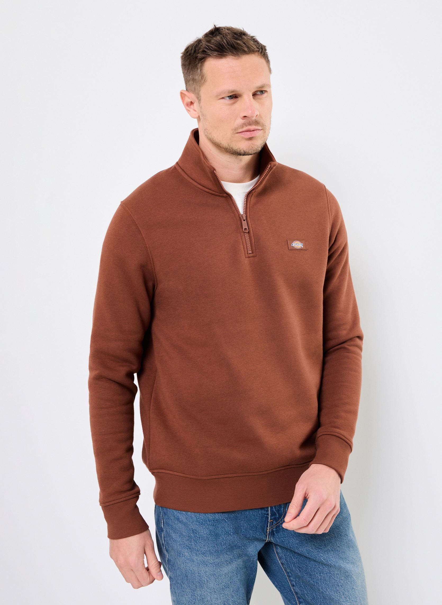 Vêtements Dickies OAKPORT QUARTER ZIP pour Accessoires