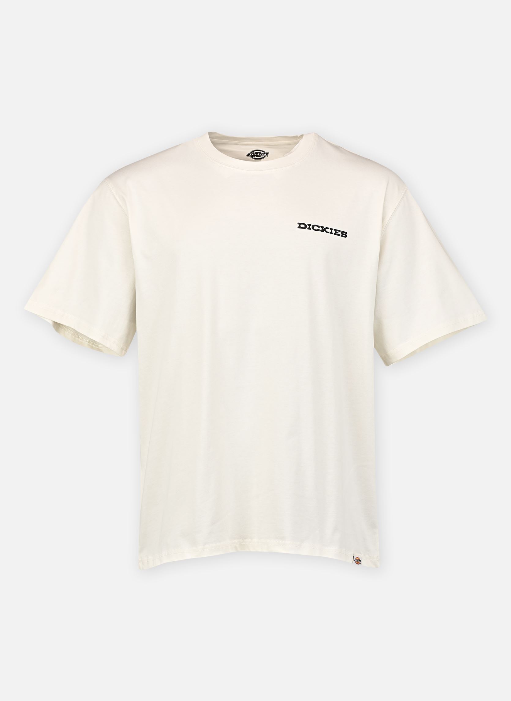 Vêtements Dickies LANDASCAPE SS TEE pour Accessoires