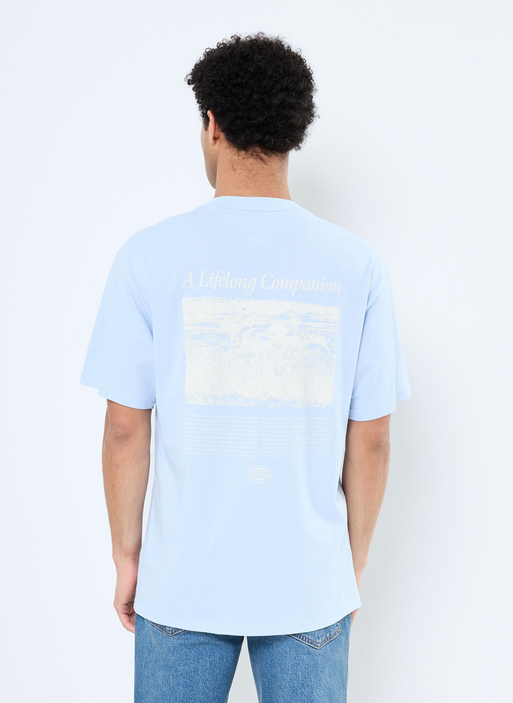 Kurzarm-T-Shirts COMPANION SCRIPT SS TEE herren blau Dickies Kurzarm-T-Shirts COMPANION SCRIPT SS TEE herren blau SKYWAY