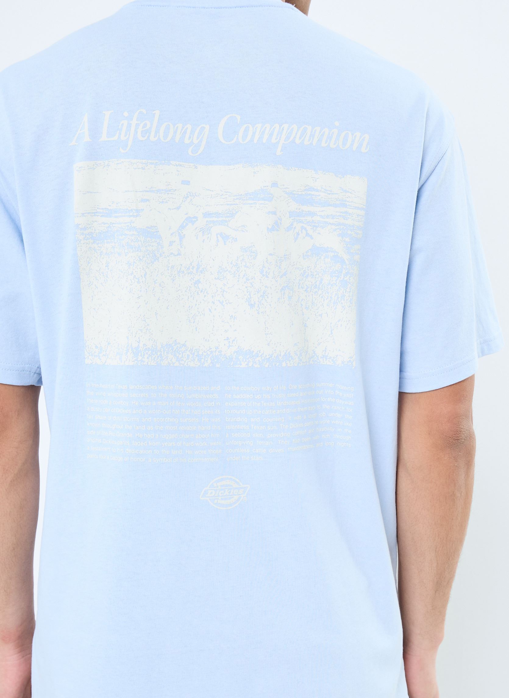 Kurzarm-T-Shirts COMPANION SCRIPT SS TEE herren blau Dickies Kurzarm-T-Shirts COMPANION SCRIPT SS TEE herren blau SKYWAY