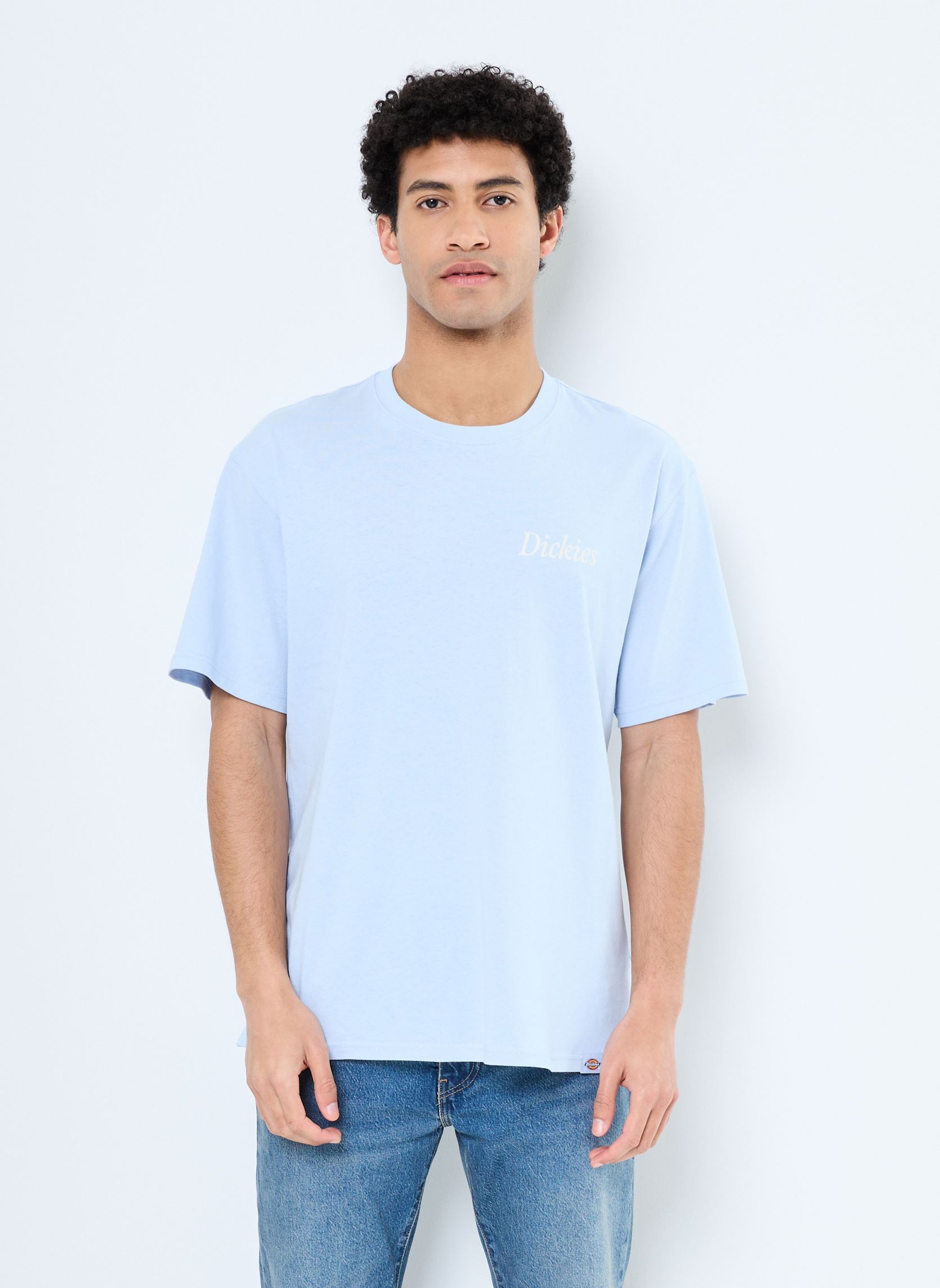 Vêtements Dickies COMPANION SCRIPT SS TEE pour Accessoires - vue 1