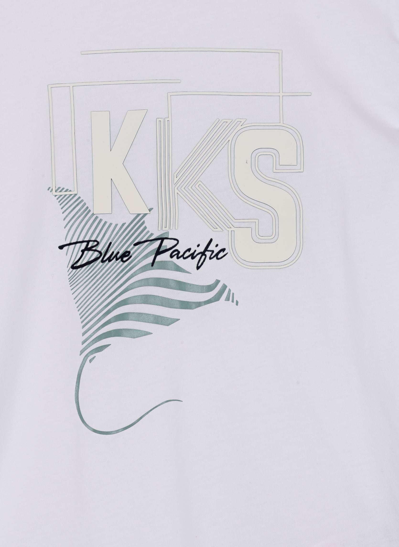 Tee-shirts manches courtes X110103 garçon blanc IKKS JUNIOR Tee-shirts manches courtes X110103 garçon blanc 01-BLANC