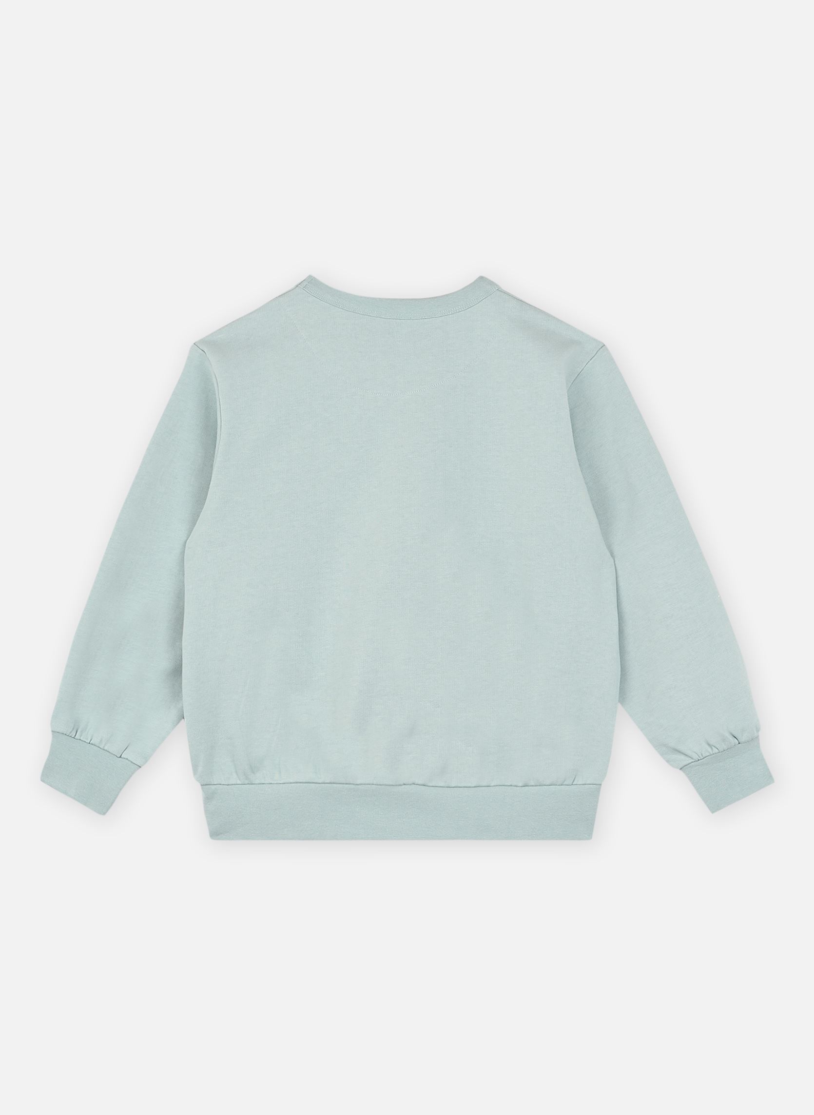 Sweats à capuche Duck Graphic Sweatshirt bleu Tinycottons Sweats à capuche Duck Graphic Sweatshirt bleu WARM GREY