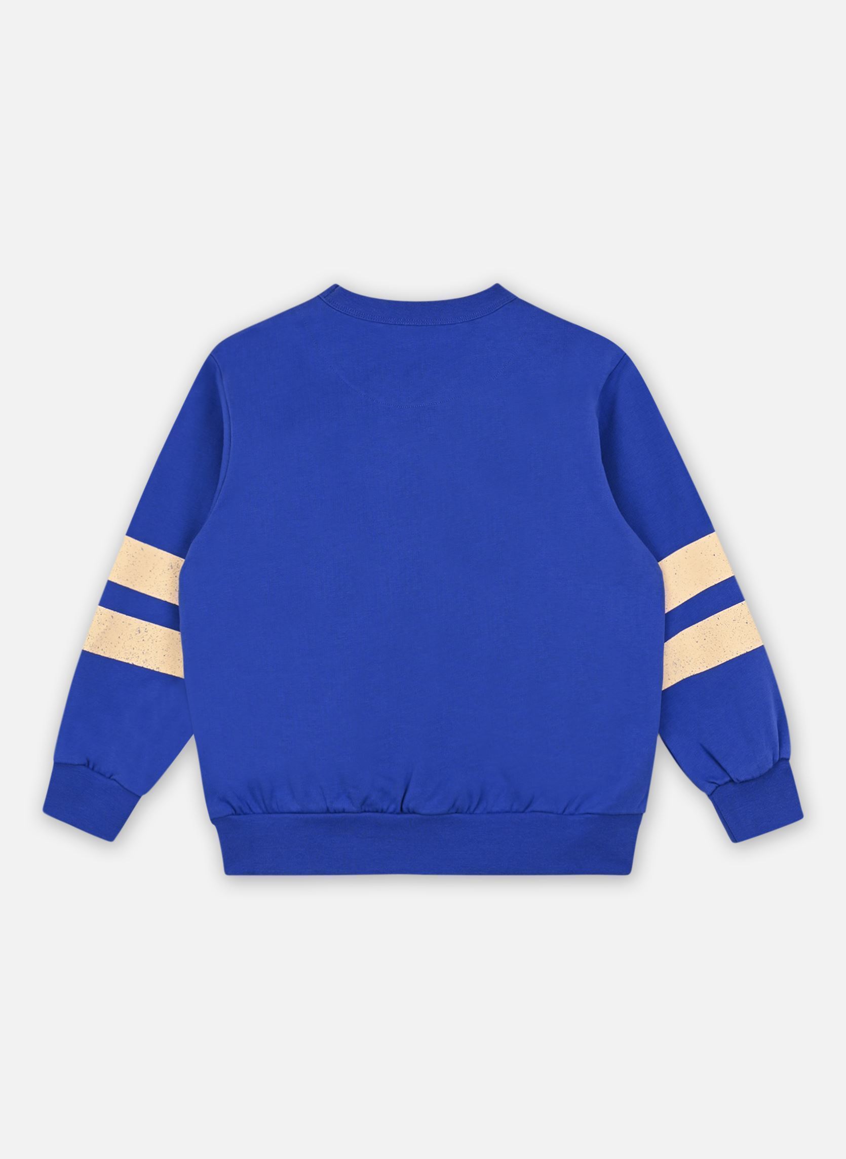 Sweats à capuche Stripes Logo Sweatshirt bleu Tinycottons Sweats à capuche Stripes Logo Sweatshirt bleu Ultramarine