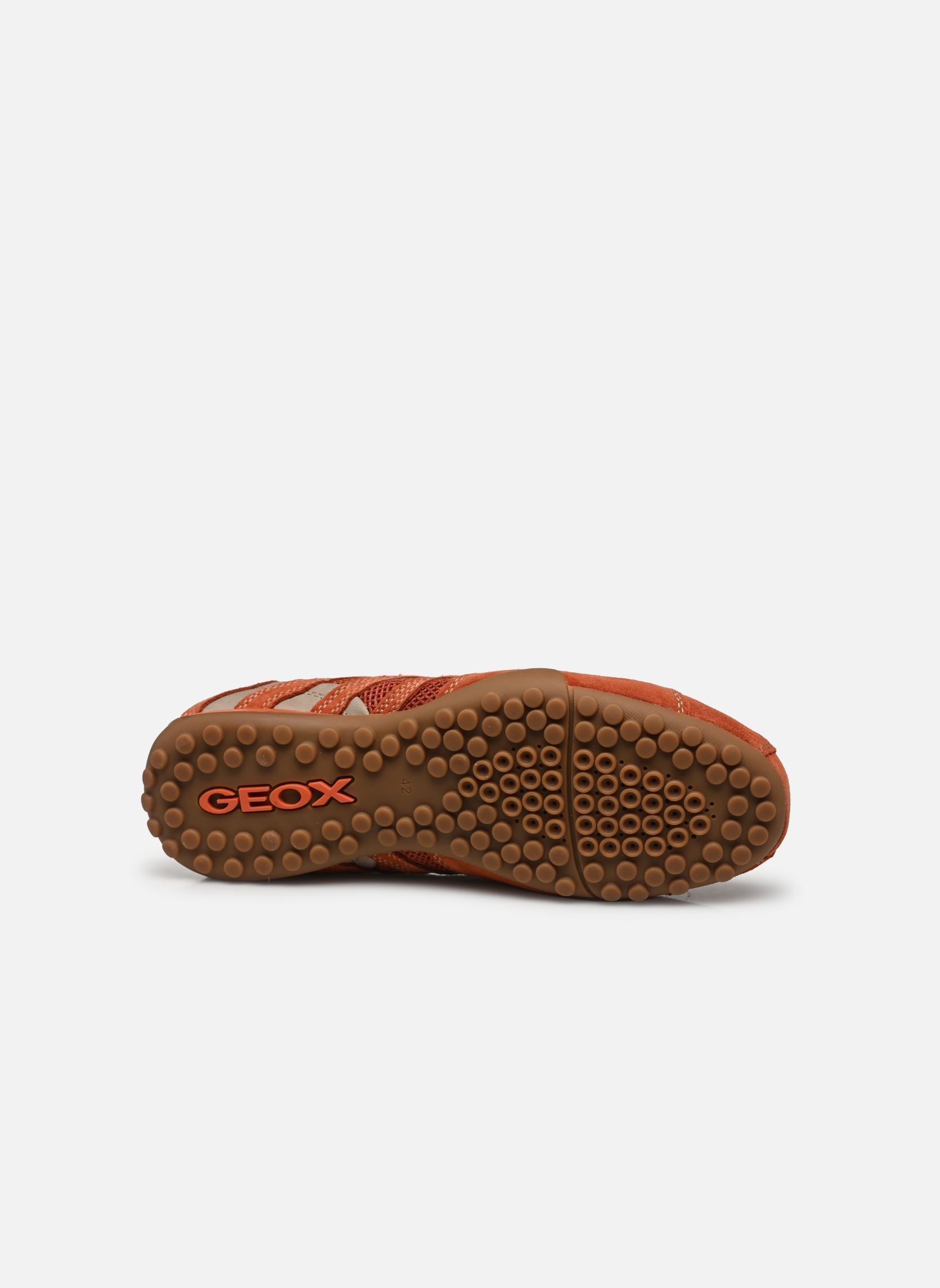 Baskets U SNAKE ORIGINAL homme orange Geox Baskets U SNAKE ORIGINAL homme orange Brick