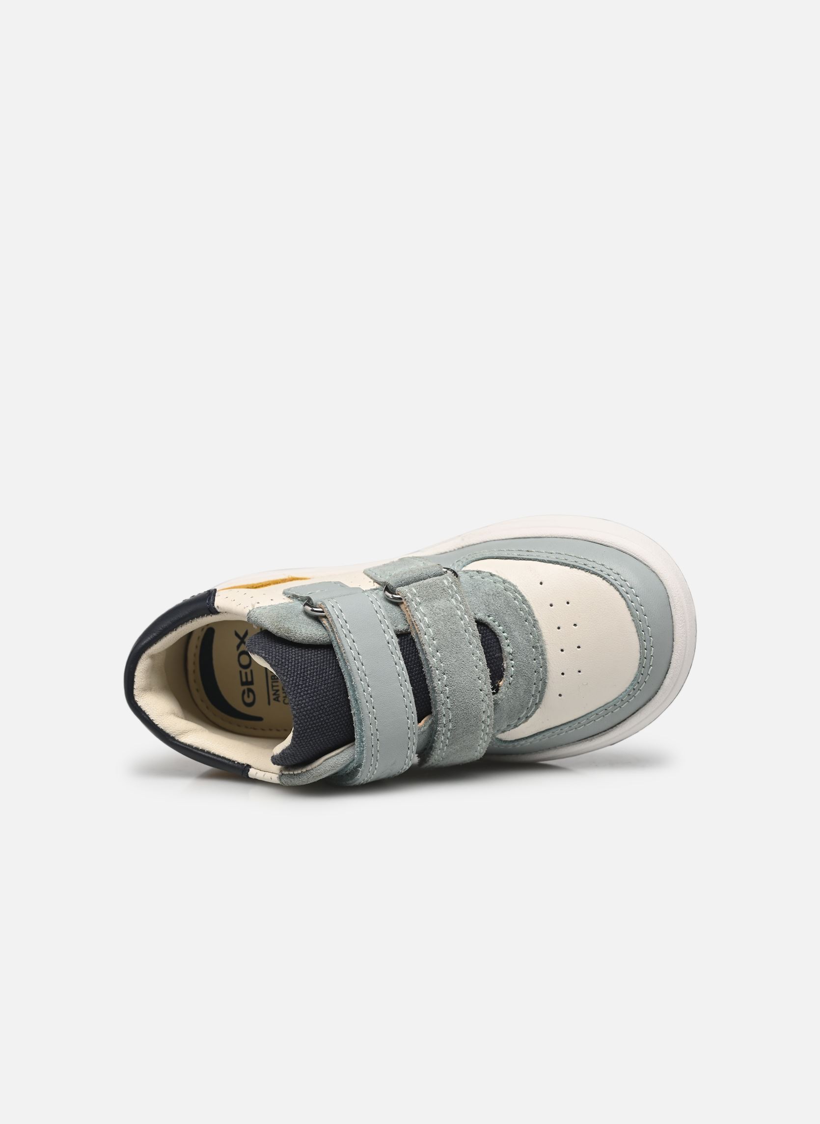 Baskets basses B BIGLIA BOY A multicolore Geox Baskets basses B BIGLIA BOY A multicolore BLANC/SAUGE