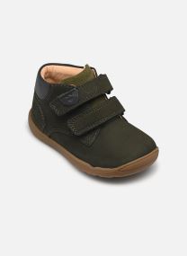 Baskets basses B MACCHIA BOY C vert