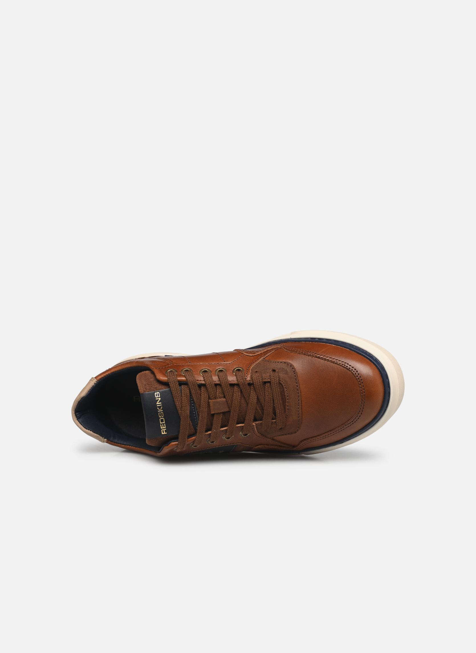 Sneakers LERMI uomo marrone Redskins Sneakers LERMI uomo marrone Cognac/marine/beige