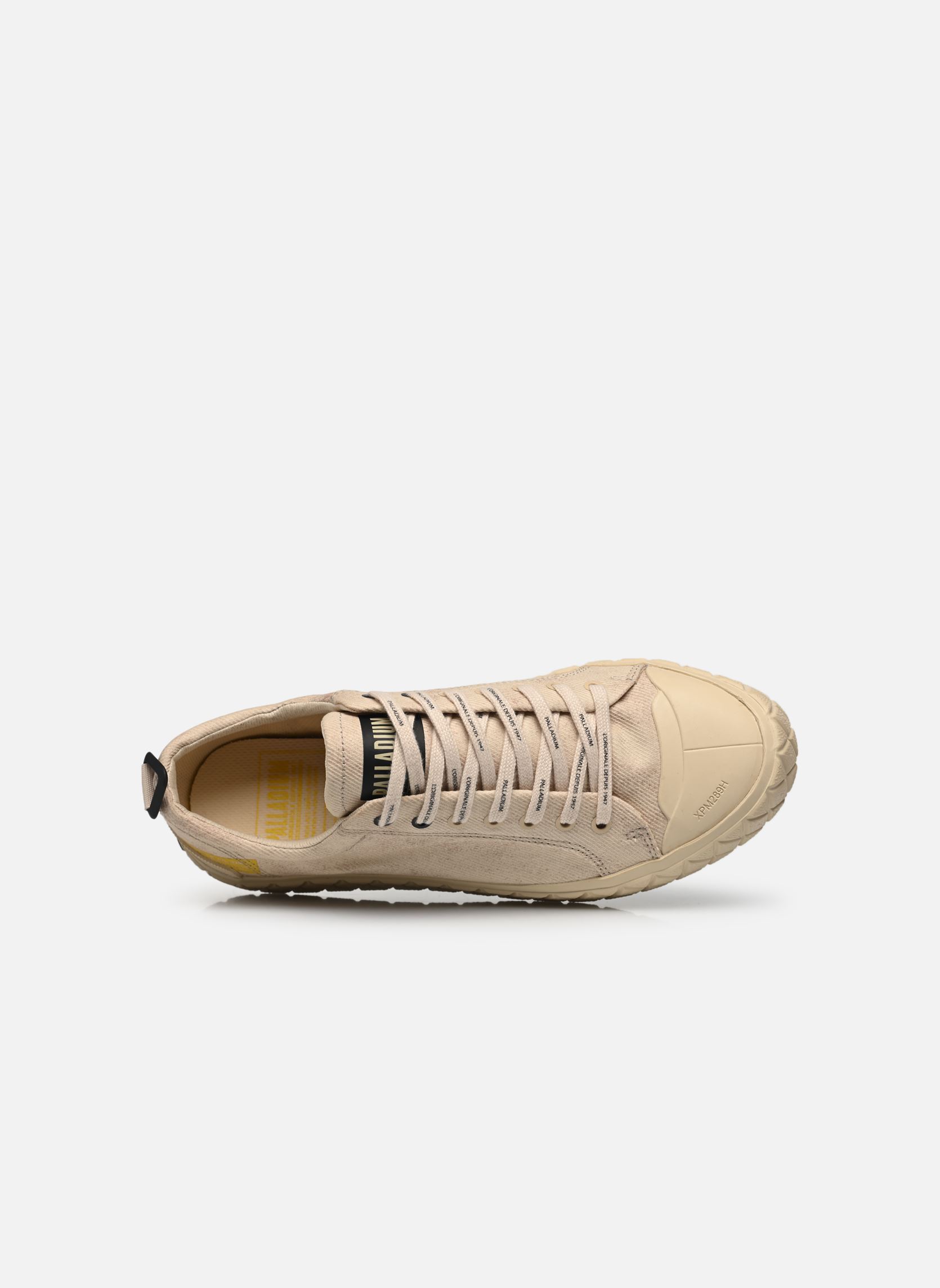 Leinen-Sneaker Palla Ace Lo Surplus herren beige Palladium Leinen-Sneaker Palla Ace Lo Surplus herren beige ALL SAHARA