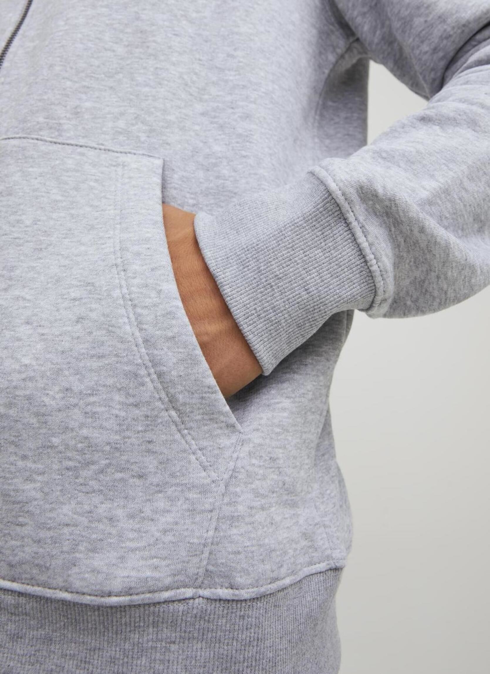 Sweats zippés JJEBRADLEY SWEAT ZIP HOOD NOOS homme gris Jack & Jones Sweats zippés JJEBRADLEY SWEAT ZIP HOOD NOOS homme gris LIGHT GREY MELANGE
