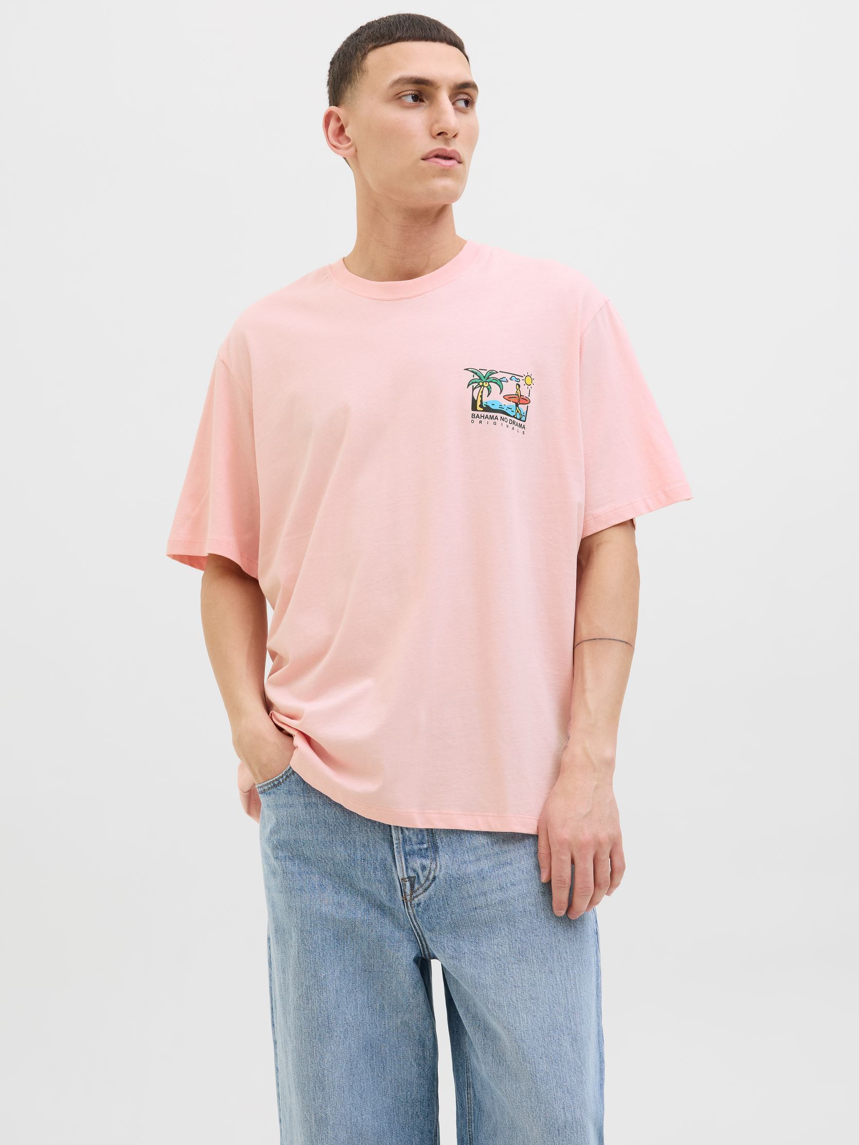 Vêtements Jack & Jones JORWOWIE TEE SS CREW NECK TG pour Accessoires - vue 3