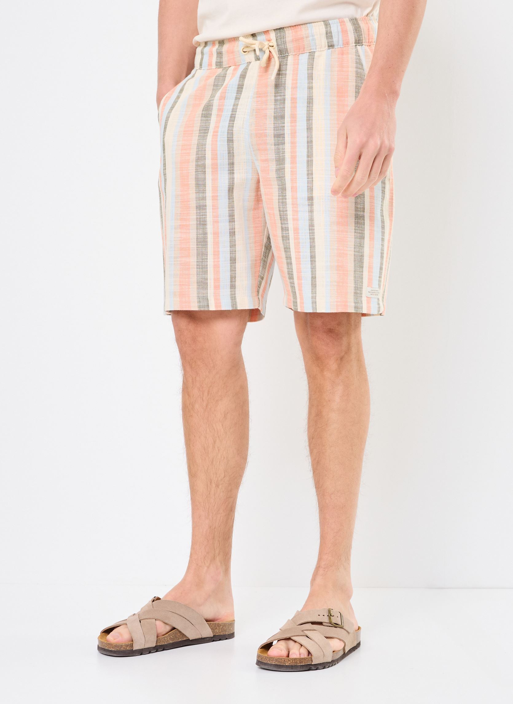 Vêtements Blend BHMORGAN short pour Accessoires