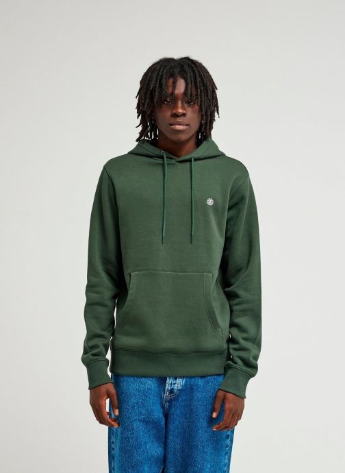 Element Sweats à capuche Icon Embroidery Po ELYFT00198 homme vert