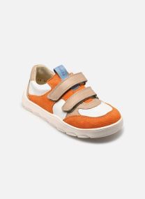 Baskets ZERU SPRING BAREFOOT garçon multicolore
