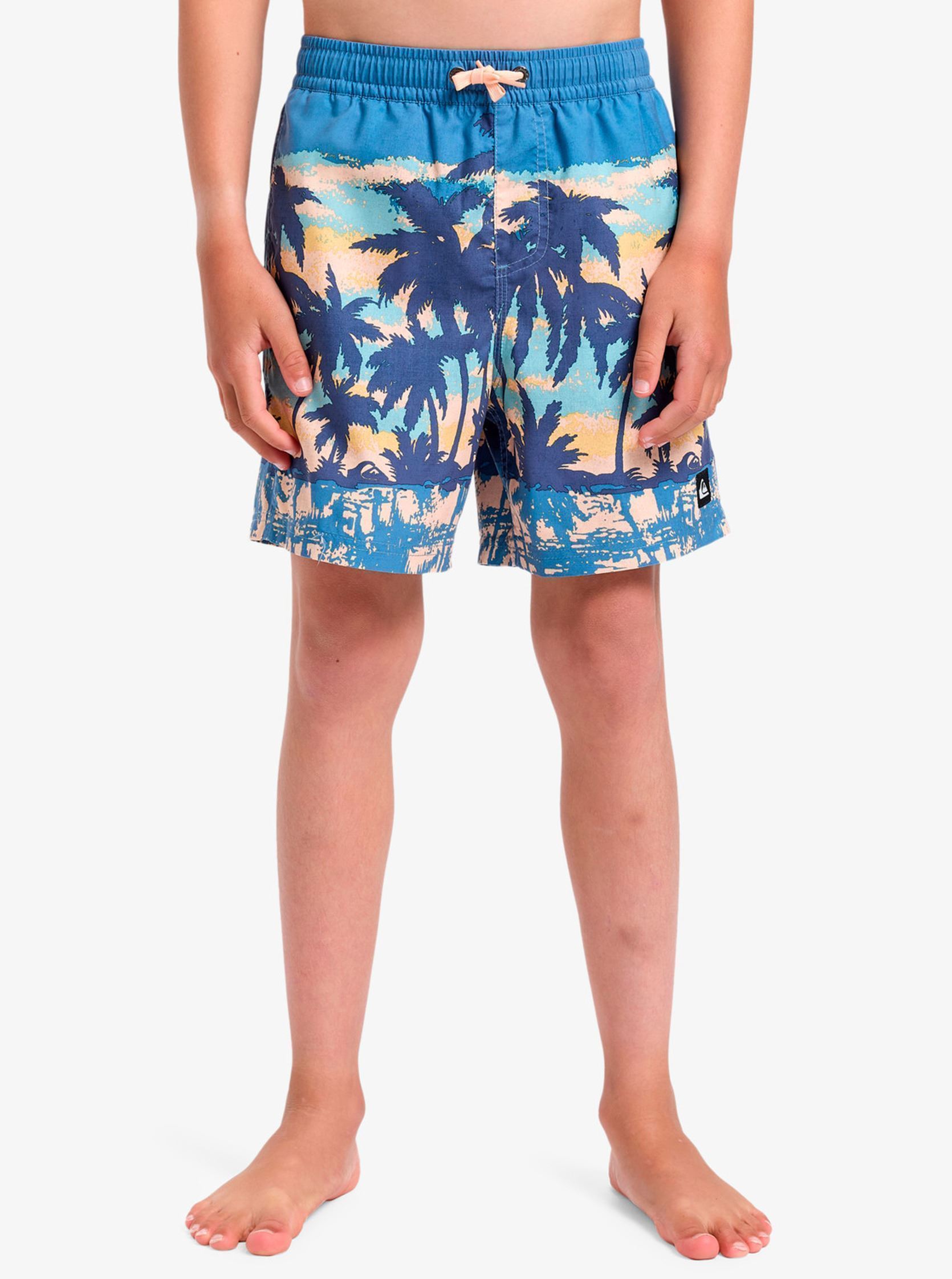 Vêtements Quiksilver Everyday Straight Volley Yth14 EQBJV03501 pour Accessoires - vue 2