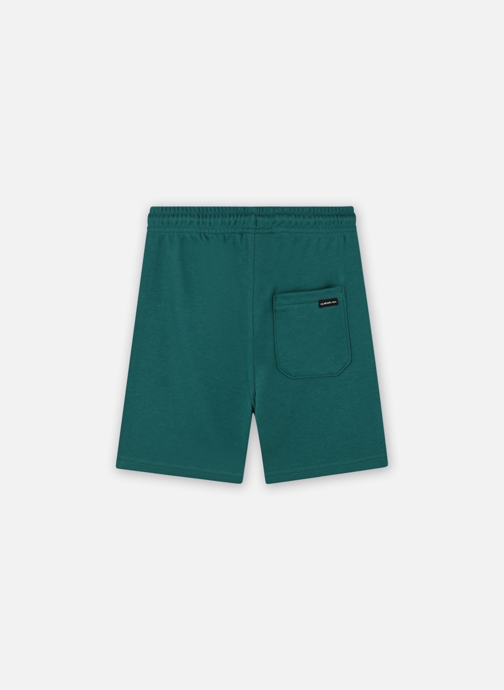 Sportkleding Easy Day Jogger Short Youth EQBFB03174 jongens groen Quiksilver Sportkleding Easy Day Jogger Short Youth EQBFB03174 jongens groen TEAL GREEN