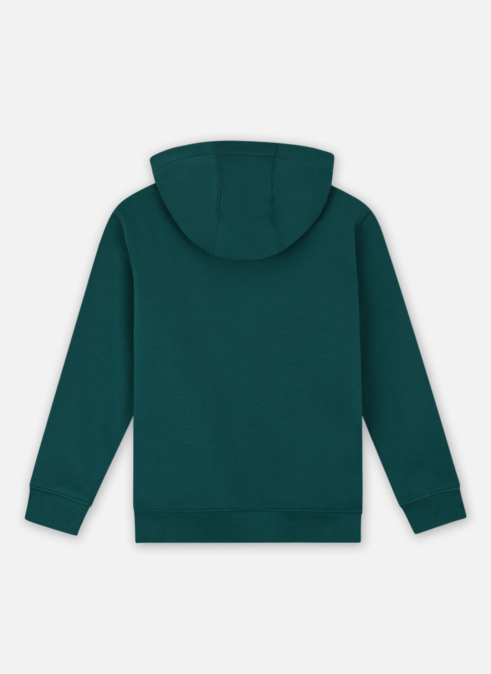 Hoodies Big Logo Hoodie Youth EQBFT03925 jongens groen Quiksilver Hoodies Big Logo Hoodie Youth EQBFT03925 jongens groen TEAL GREEN