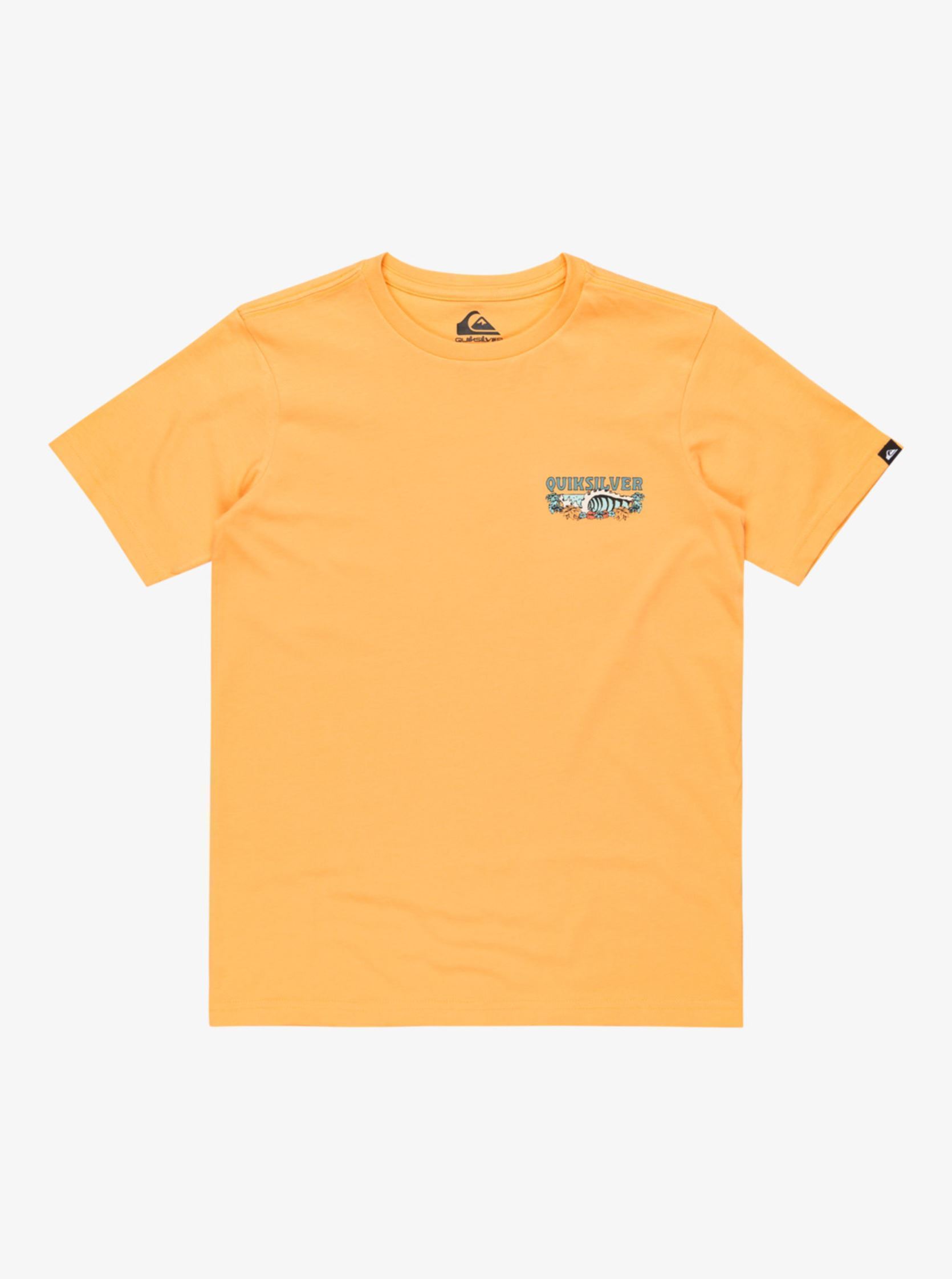 Vêtements Quiksilver Evo Wild Ss Yth EQBZT04835 pour Accessoires