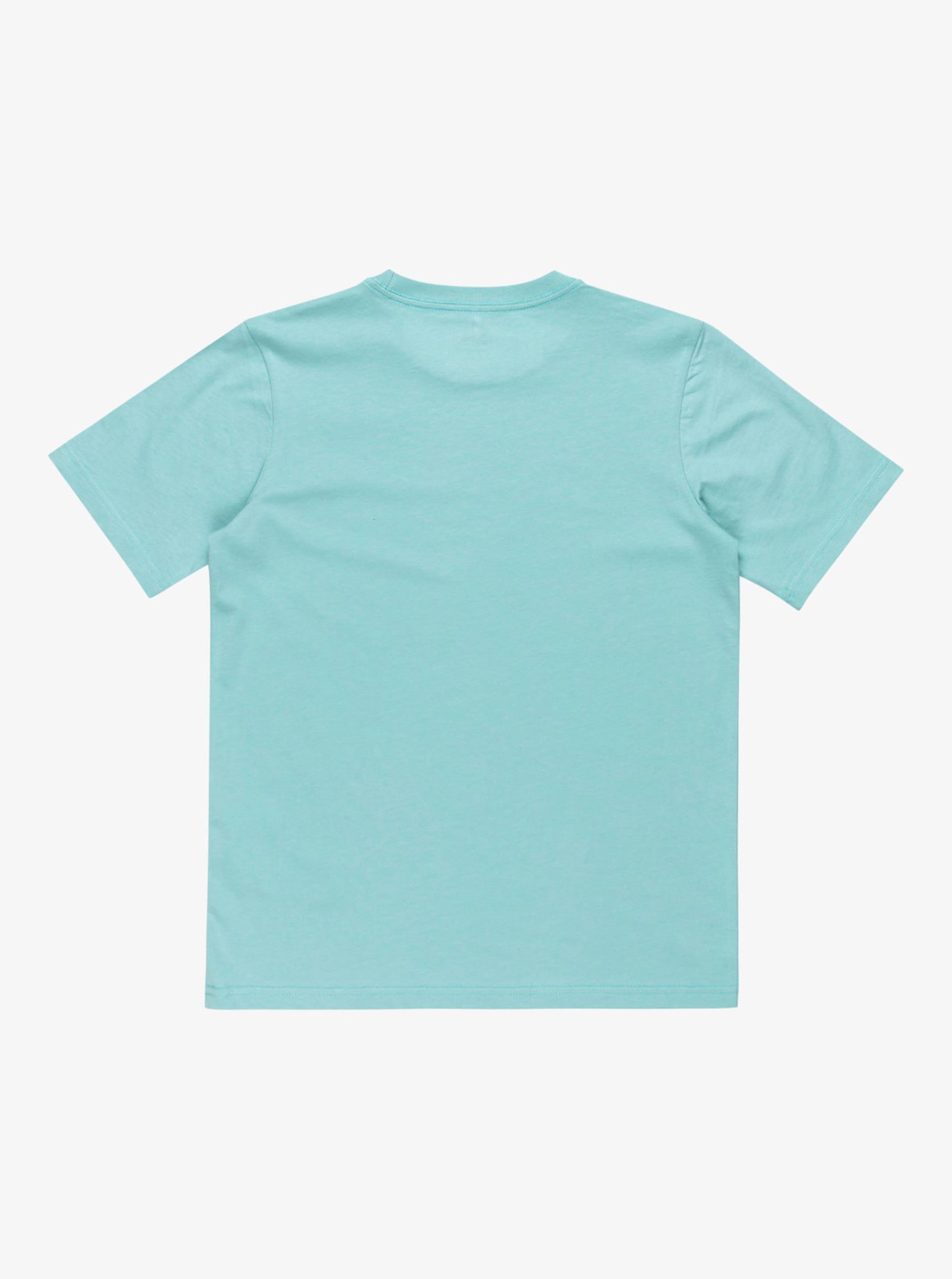 Tee-shirts Ev Comp Logo Ss Yth EQBZT04851 garçon bleu Quiksilver Tee-shirts Ev Comp Logo Ss Yth EQBZT04851 garçon bleu AQUIFER