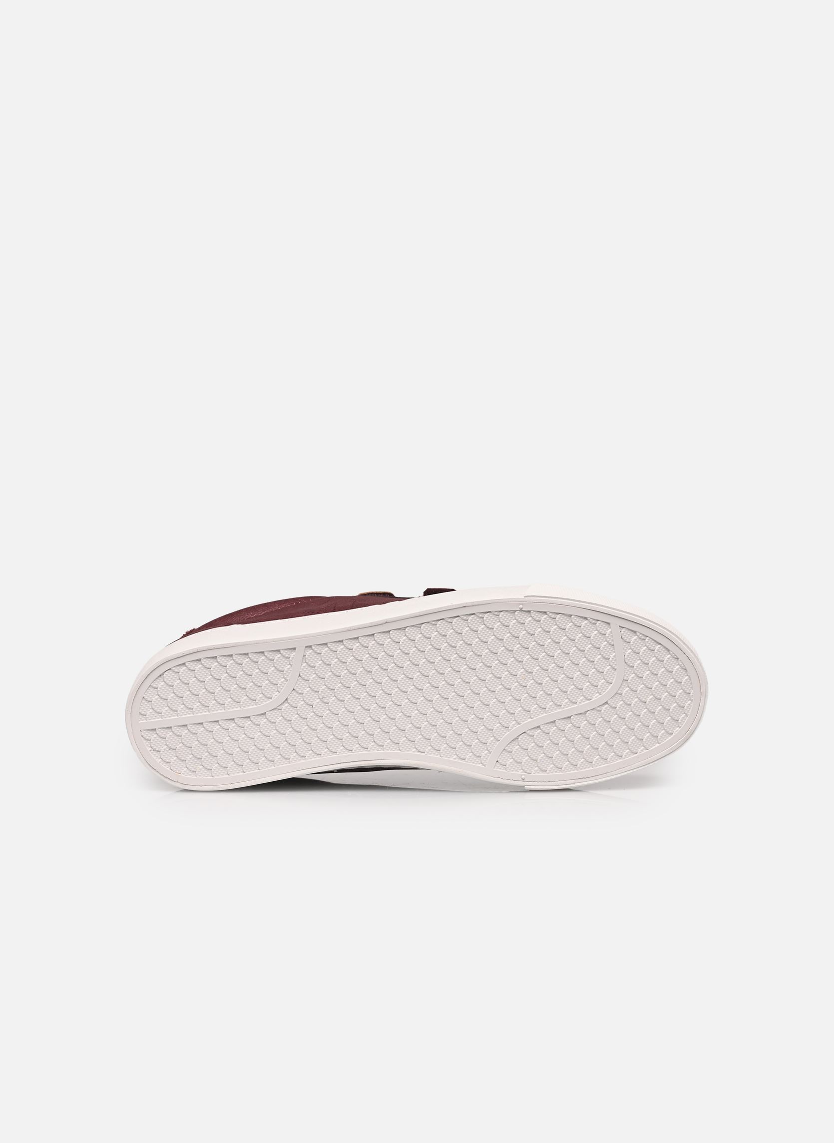 Sneakers TIPPYK dames bordeaux Kaporal Sneakers TIPPYK dames bordeaux BORDEAUX