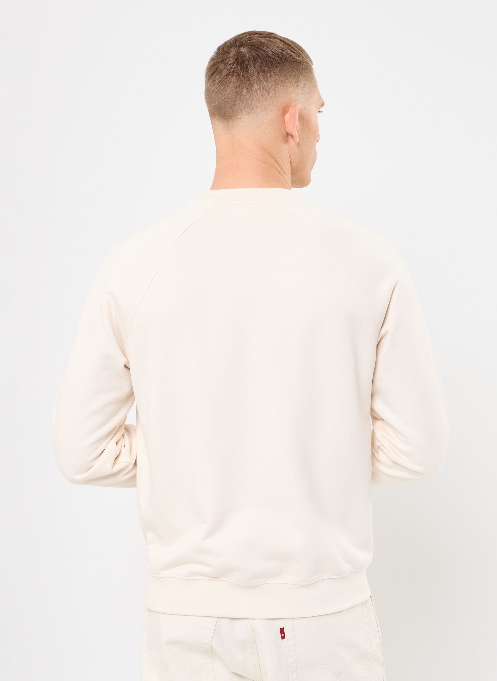 Sweats Sweatshirt col rond Lacoste SH0028 homme beige Lacoste Sweats Sweatshirt col rond Lacoste SH0028 homme beige LAPONIE