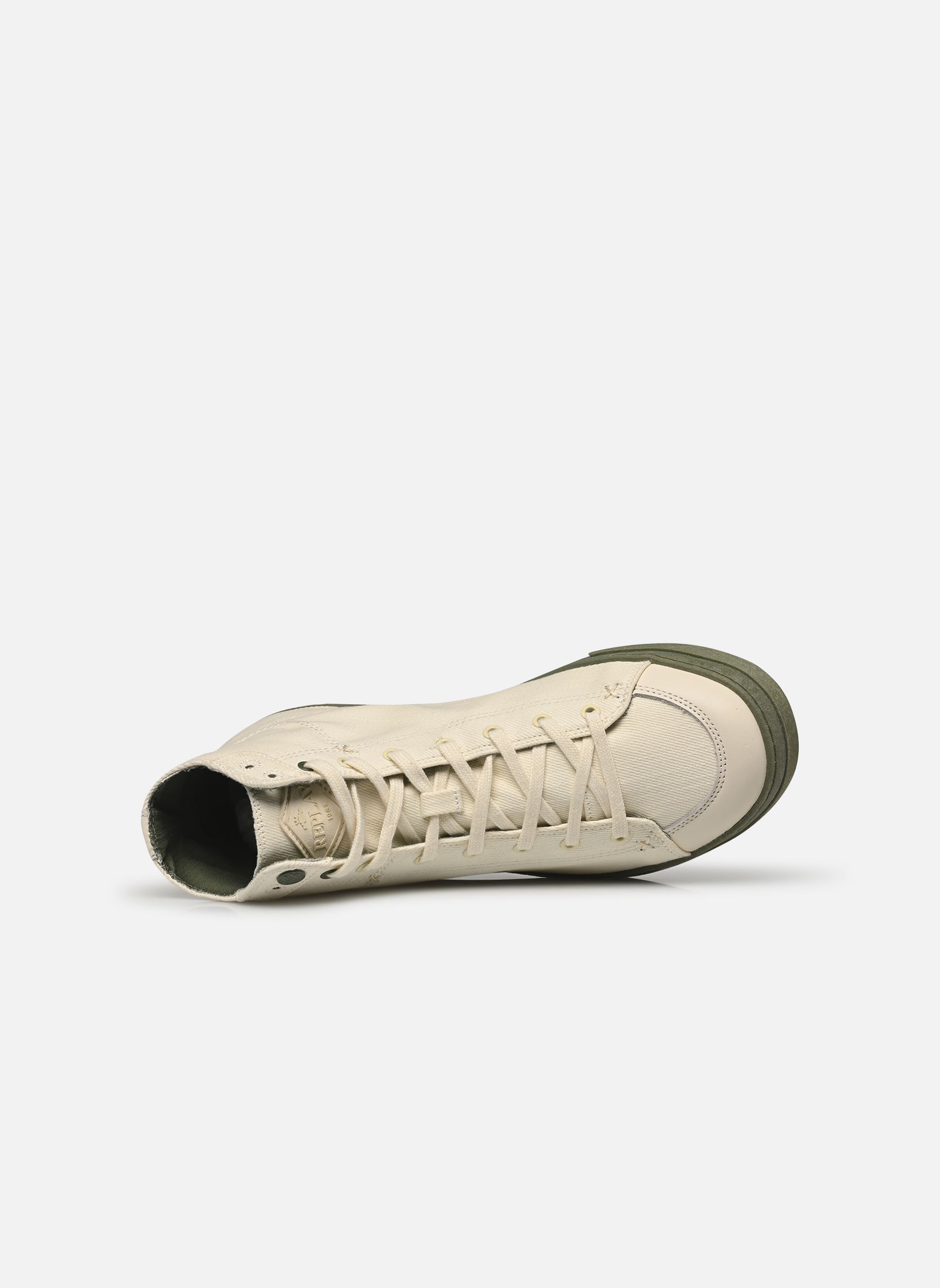 Baskets Dino homme blanc Replay Baskets Dino homme blanc ECRU GREEN