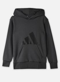 Sweats à capuche J BL FT HD 280 gris