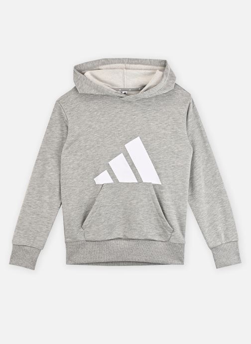 adidas sportswear Kapuzenpullover J BL FT HD 280 grau
