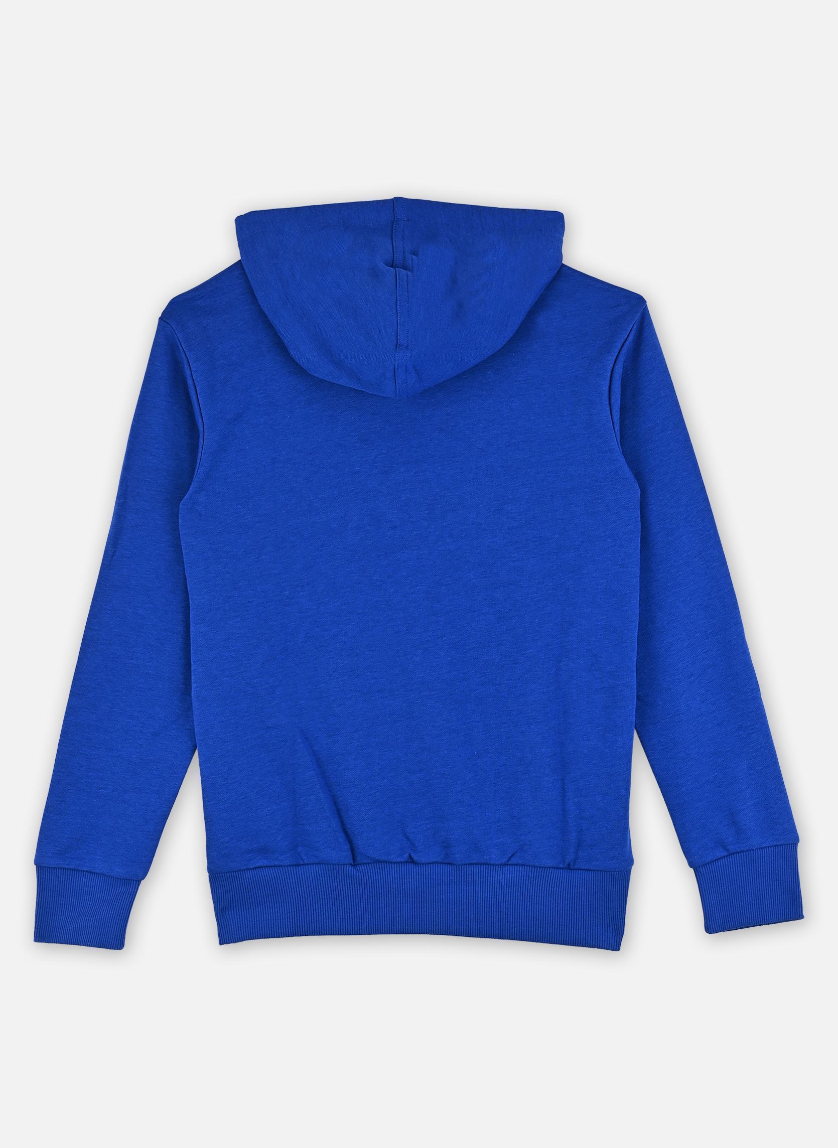 Hoodies J BL FT HD 280 blauw adidas sportswear Hoodies J BL FT HD 280 blauw ROYBLU/BLUFUS/GLOBLU