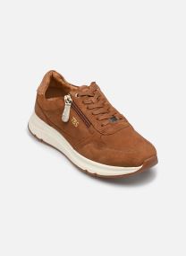 Baskets basses BLONZIP femme marron TBS Baskets basses BLONZIP femme marron TAN
