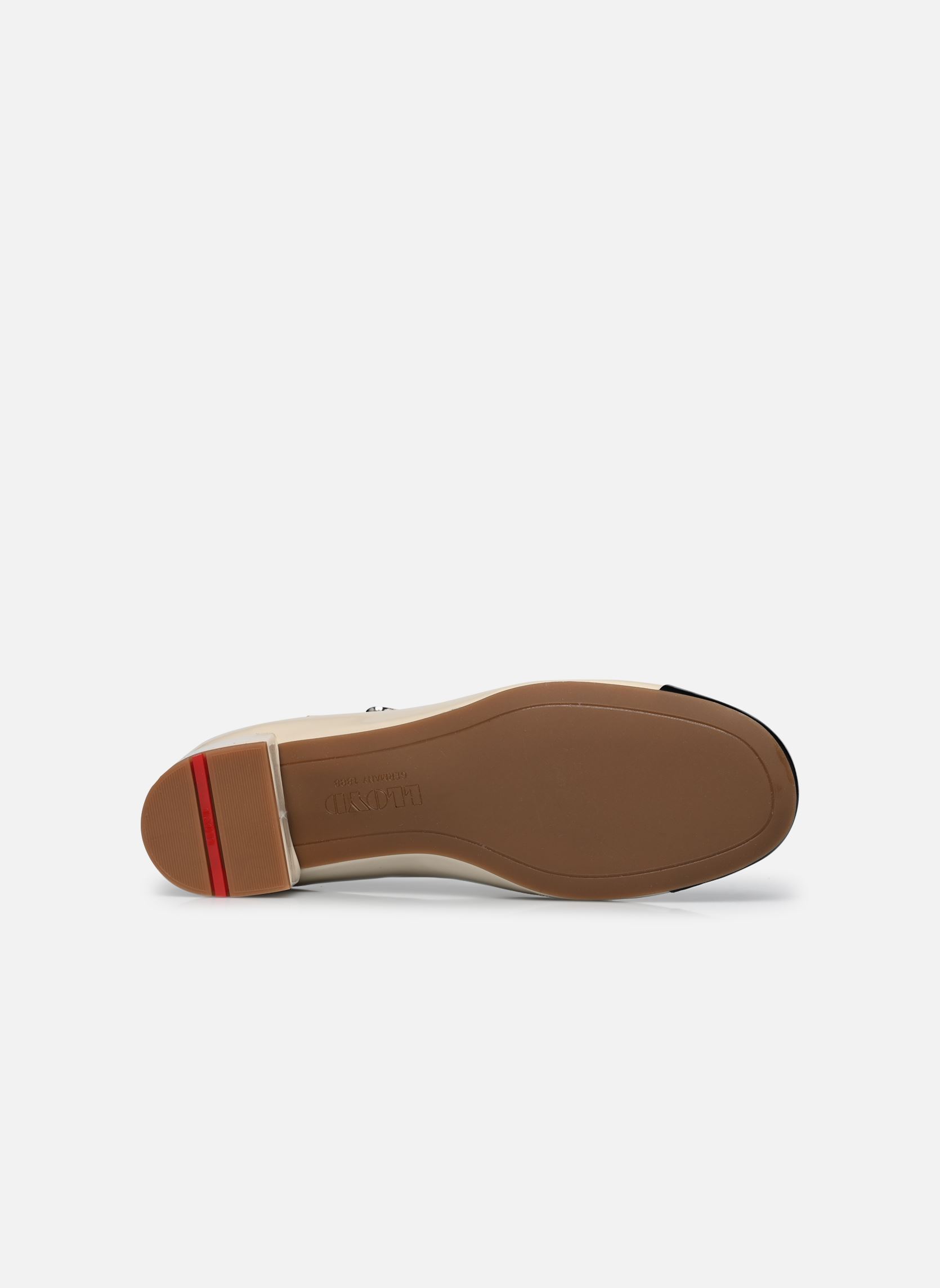 Ballerines classiques KIM femme blanc Lloyd Ballerines classiques KIM femme blanc BLACK/OAT MILK