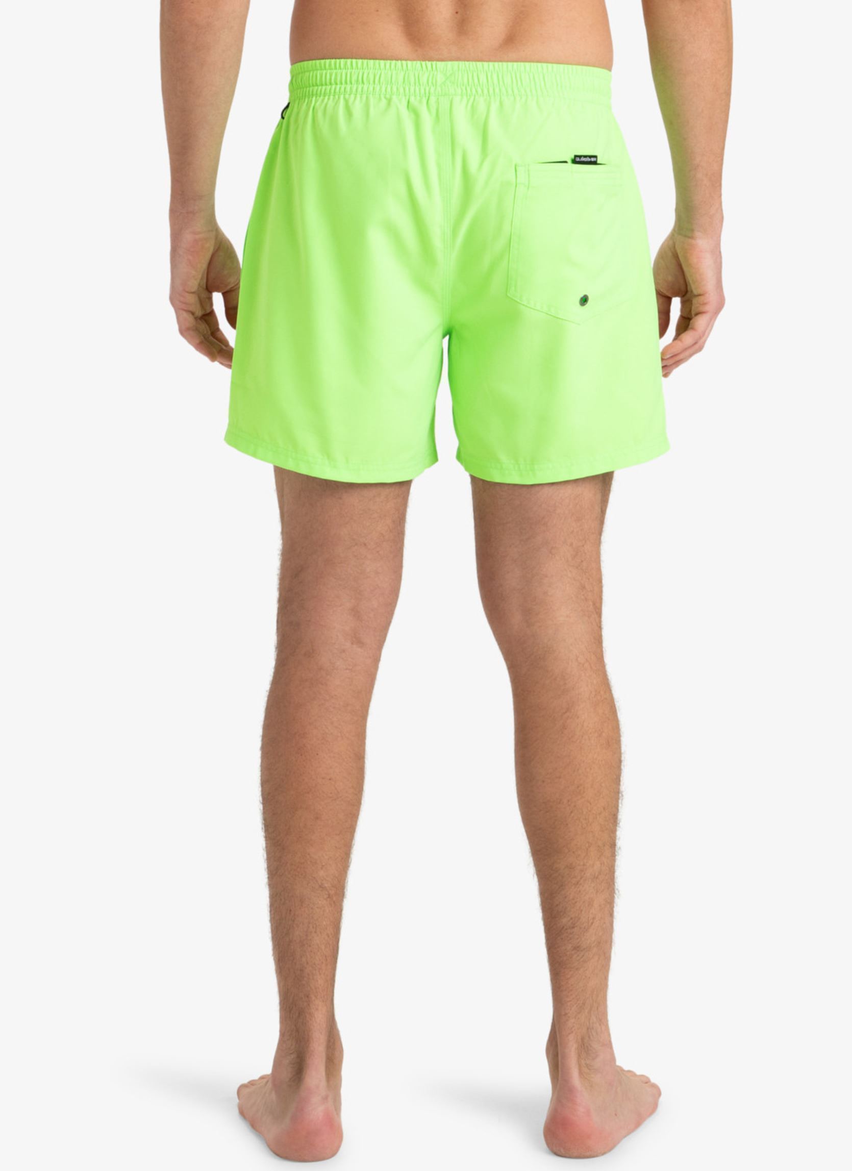 Zwemshorts Everyday Solid Volley 15 EQYJV04120 heren grijs Quiksilver Zwemshorts Everyday Solid Volley 15 EQYJV04120 heren grijs Green Gecko