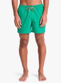 Zwemshorts Everyday Solid Volley 15 EQYJV04120 heren rood