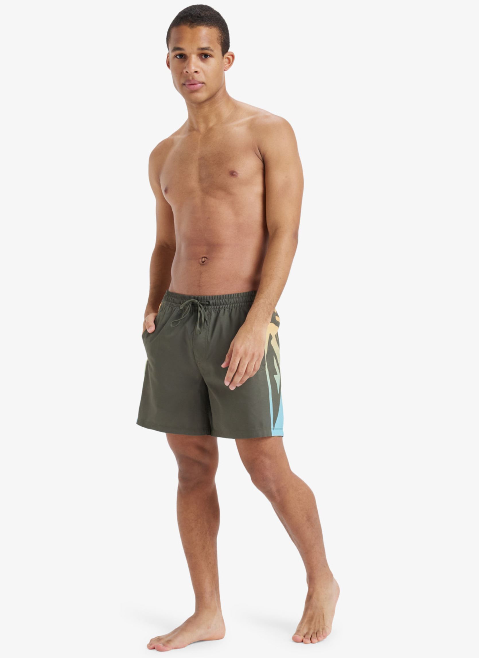 Zwemshorts Everyday Holmes Volley 16 EQYJV04136 heren groen Quiksilver Zwemshorts Everyday Holmes Volley 16 EQYJV04136 heren groen GRAPE LEAF HOLMES