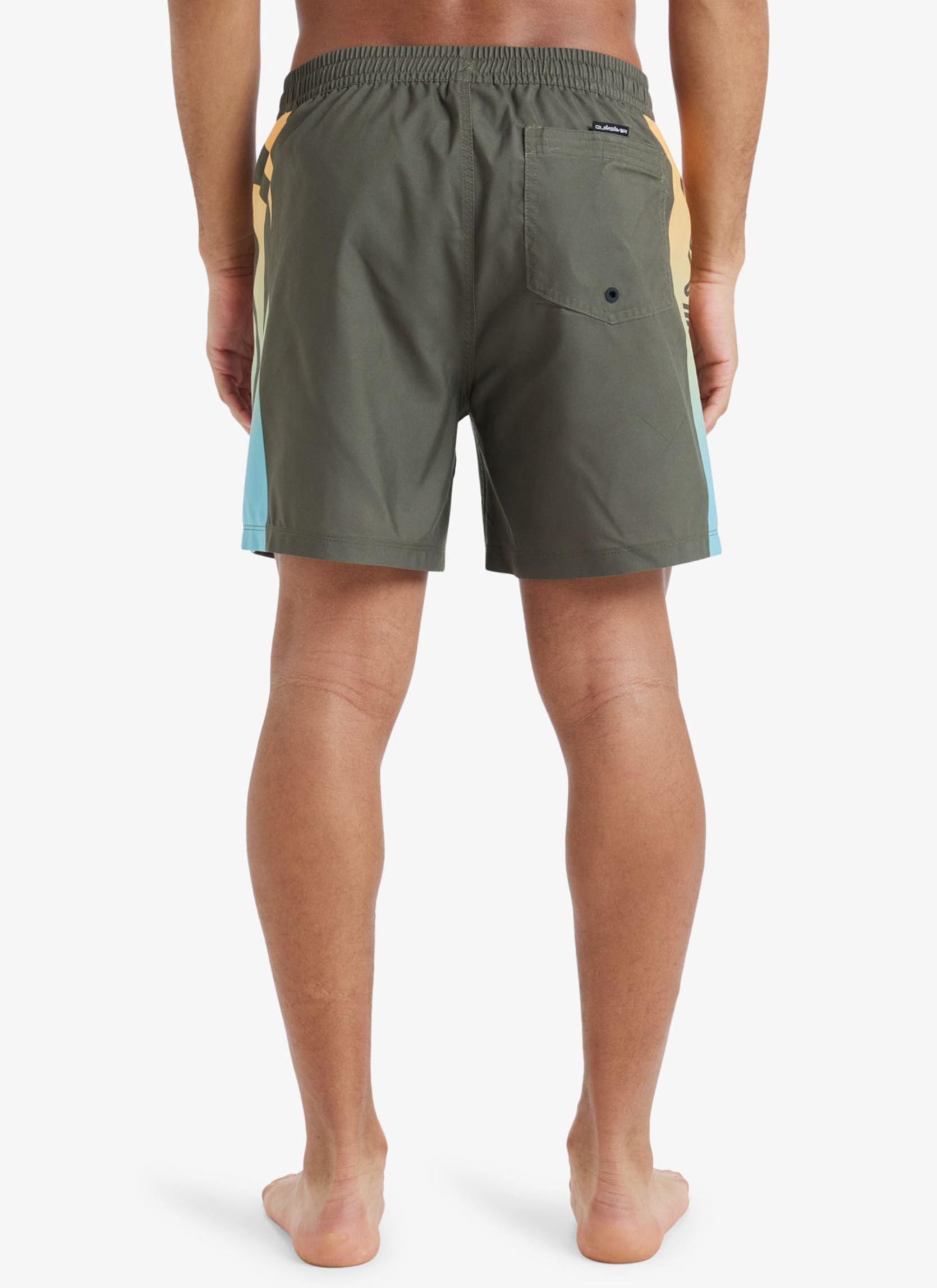 Zwemshorts Everyday Holmes Volley 16 EQYJV04136 heren groen Quiksilver Zwemshorts Everyday Holmes Volley 16 EQYJV04136 heren groen GRAPE LEAF HOLMES