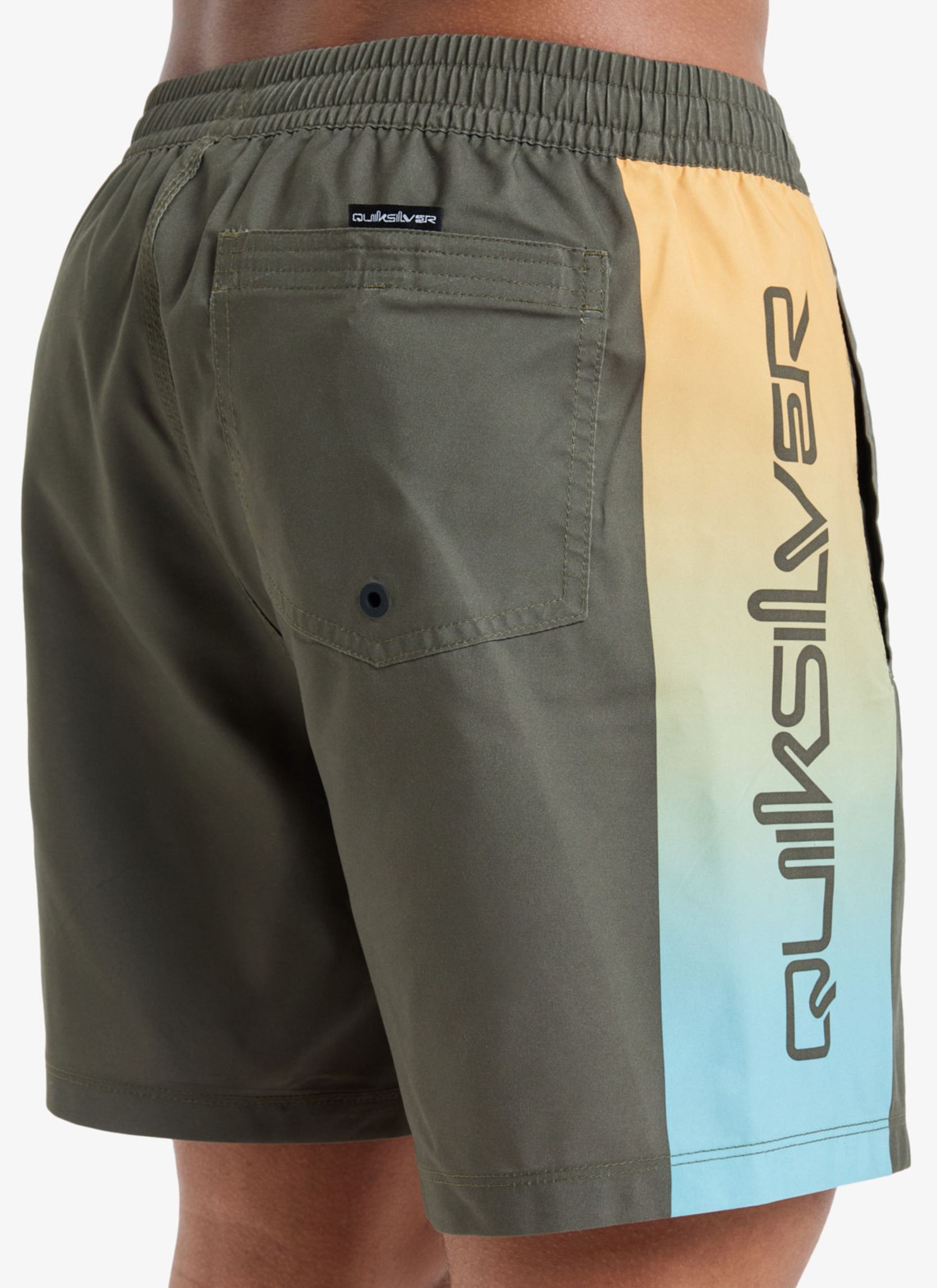 Zwemshorts Everyday Holmes Volley 16 EQYJV04136 heren groen Quiksilver Zwemshorts Everyday Holmes Volley 16 EQYJV04136 heren groen GRAPE LEAF HOLMES