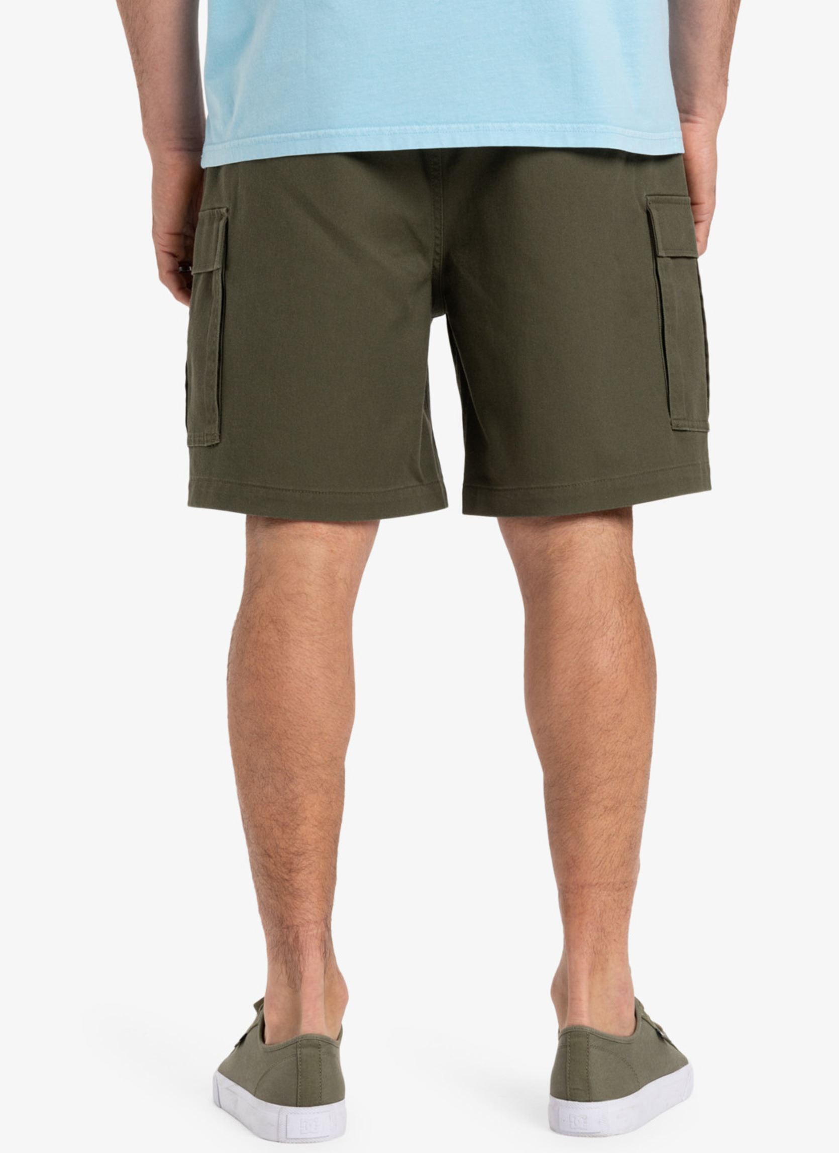 Bermuda's Taxer Cargo Ws EQYWS03879 heren groen Quiksilver Bermuda's Taxer Cargo Ws EQYWS03879 heren groen GRAPE LEAF